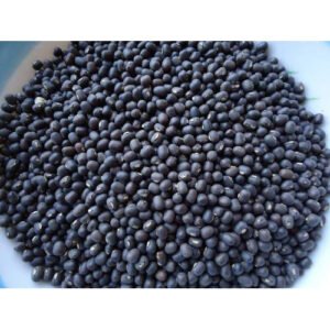 Urad Dal Whole Black 25kg