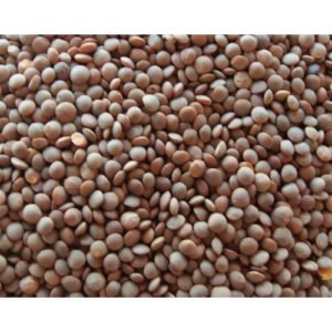 Brown Masoor Dal 25kg